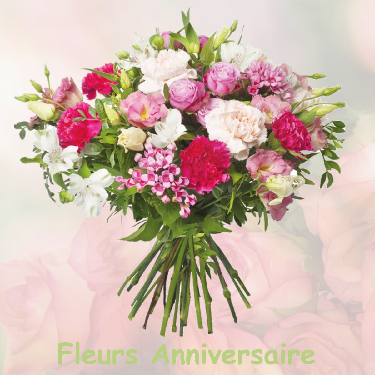 fleurs anniversaire CHAILLAC-SUR-VIENNE